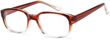 SFE-11865 glasses in Brown