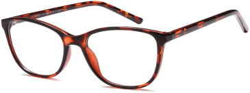 SFE-11868 glasses in Havana