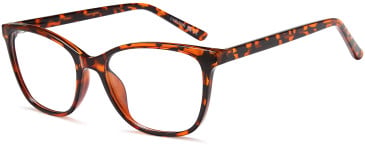 SFE-11875 glasses in Havana