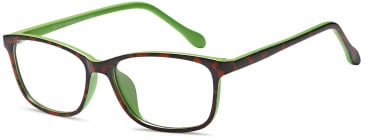 SFE-11884 glasses in Havana