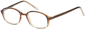 SFE-11895 glasses in Grey