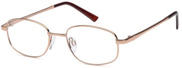 SFE-11909 glasses in Brown