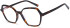 SFE-11721 glasses in Brown