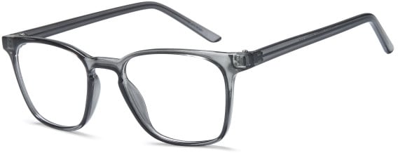 SFE-11879 glasses in Grey
