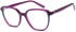 SFE-11684 glasses in Purple