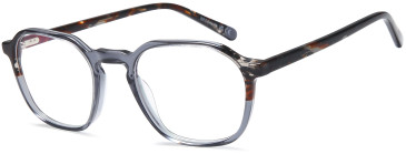 SFE-11693 glasses in Grey
