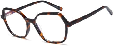 SFE-11721 glasses in Brown