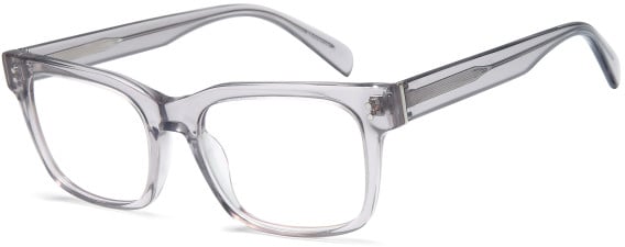 SFE-11722 glasses in Grey