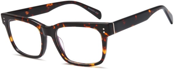 SFE-11722 glasses in Havana