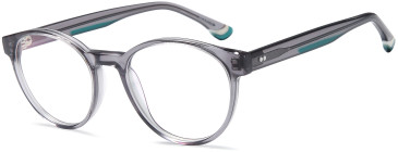 SFE-11724 glasses in Grey