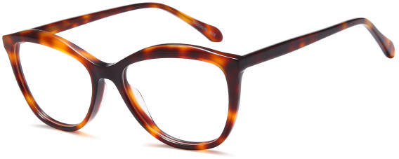 SFE-11727 glasses in Havana