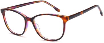 SFE-11730 glasses in Havana