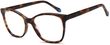 SFE-11731 glasses in Brown