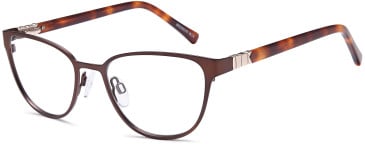 SFE-11738 glasses in Brown