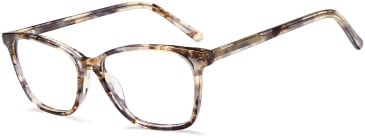 SFE-11751 glasses in Brown