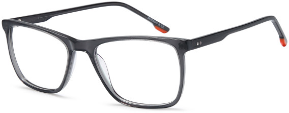 SFE-11752 glasses in Grey