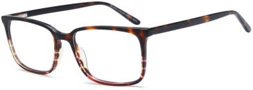 SFE-11777 glasses in Brown