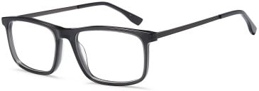 SFE-11779 glasses in Grey
