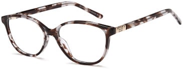 SFE-11785 glasses in Grey