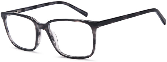 SFE-11790 glasses in Grey