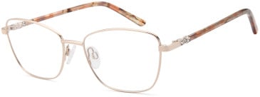 SFE-11795 glasses in Gold