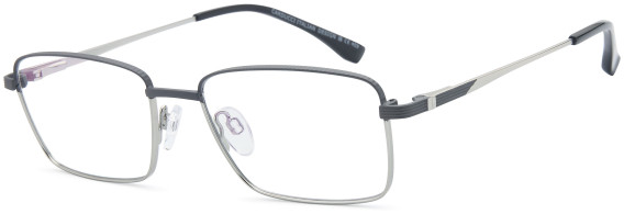 SFE-11796 glasses in Grey