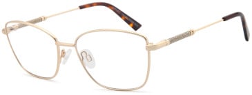 SFE-11799 glasses in Gold