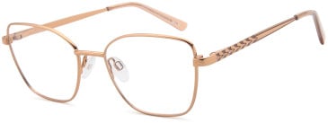 SFE-11800 glasses in Brown