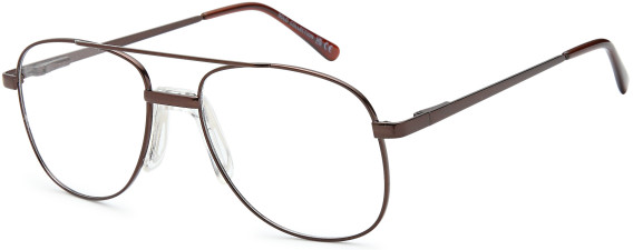 SFE-11843 glasses in Bronze