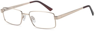 SFE-11857 glasses in Gold