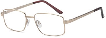 SFE-11858 glasses in Gold