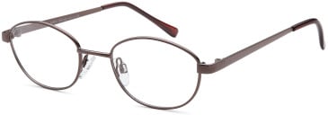 SFE-11866 glasses in Bronze