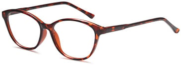 SFE-11888 glasses in Havana