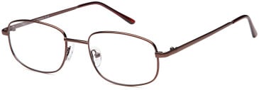 SFE-11896 glasses in Bronze