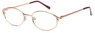 SFE-11898 glasses in Light Brown