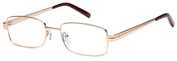 SFE-11902 glasses in Gold