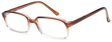 SFE-11903 glasses in Brown