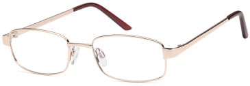 SFE-11910 glasses in Gold