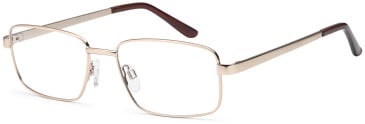 SFE-11911 glasses in Gold