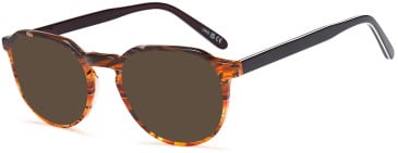 UNIQ UN7101 sunglasses in Brown
