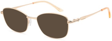 Sakuru SAK1017T sunglasses in Gold