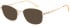 Sakuru SAK1017T sunglasses in Gold