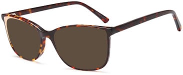 SFE-11698 sunglasses in Havana
