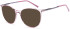 SFE-11706 sunglasses in Purple