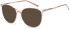 SFE-11706 sunglasses in Champagne