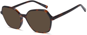 SFE-11721 sunglasses in Brown