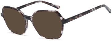 SFE-11721 sunglasses in Grey