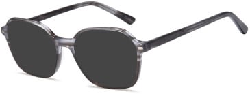 SFE-11723 sunglasses in Grey