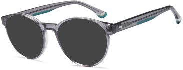 SFE-11724 sunglasses in Grey
