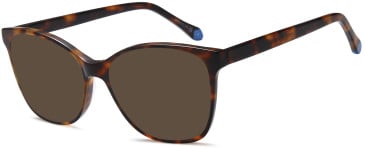SFE-11731 sunglasses in Brown